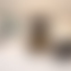 Naujoje LNDM Taikomosios dailės ir dizaino muziejaus parodoje atskleidžiamas japonų jautrumas estetikai