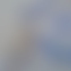 Rafal Piesliak paroda „Įžvalga“ (AV17) galerijoje