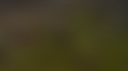 Julija Pociūtė | „Greitas atsakymas“ | (AV17) galerija