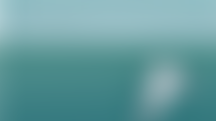 Virginijus Kinčinaitis Tarptautiniame fotografijos simpoziume Nida' 19