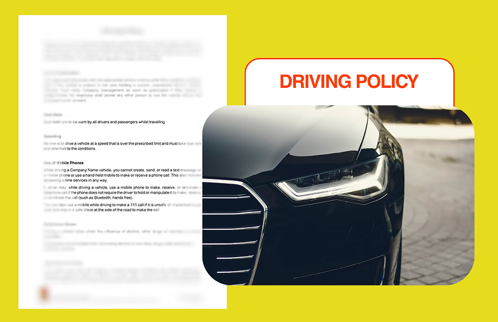 Driving Policy