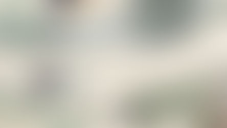 „Architekto herbare” – Laisvės alėjos žiedadulkės ir Santakos dumbliai