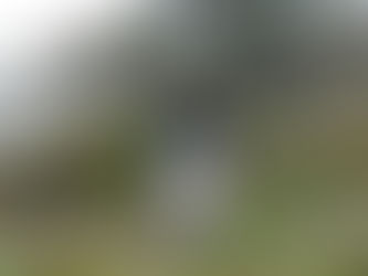 Laura Kunciūtė | „Menančios medžiagos“ | VDA galerija „Artifex“