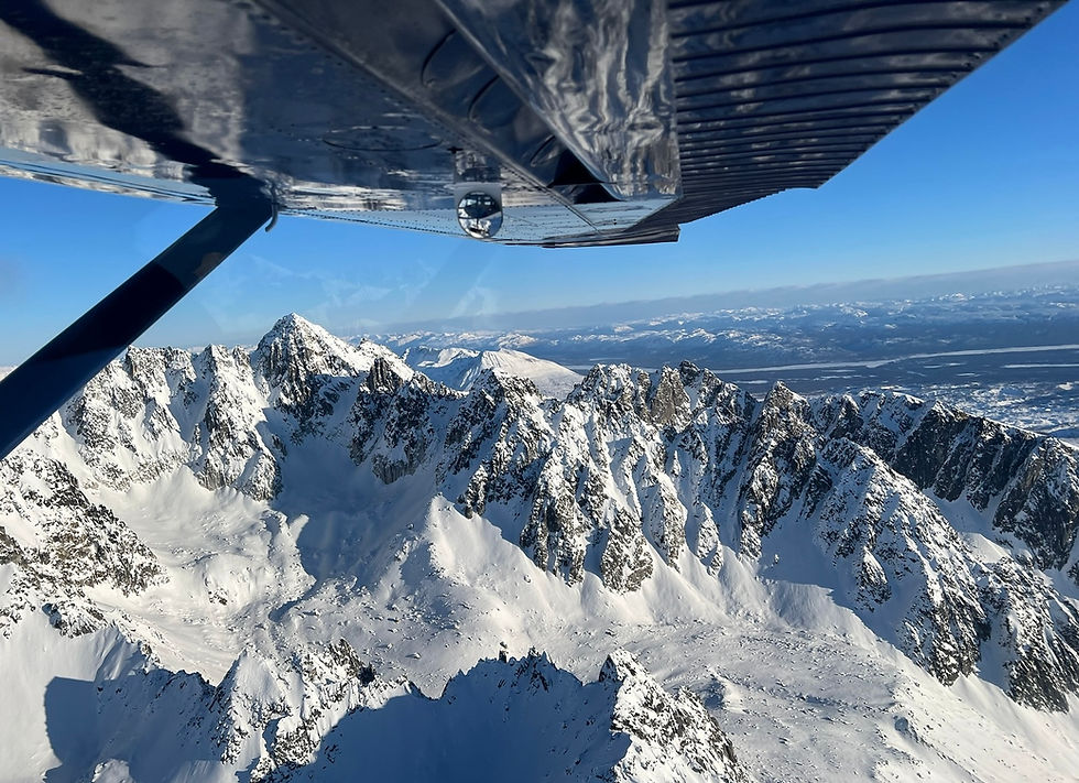 denali 5.jpg
