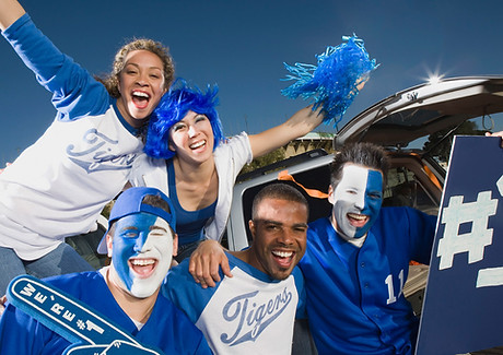 Sports Fans