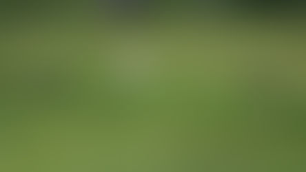 Bijzondere mutatie in de natuur.