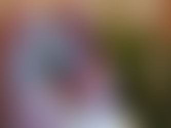 Lung disease survival could be predicted from size of swollen glands