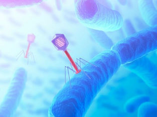 'Dynamic duo’ defences in bacteria ward off viral threats