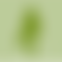 El indicador cero en la Responsabilidad Social Empresarial