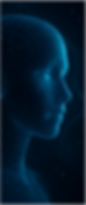 Picture1.png