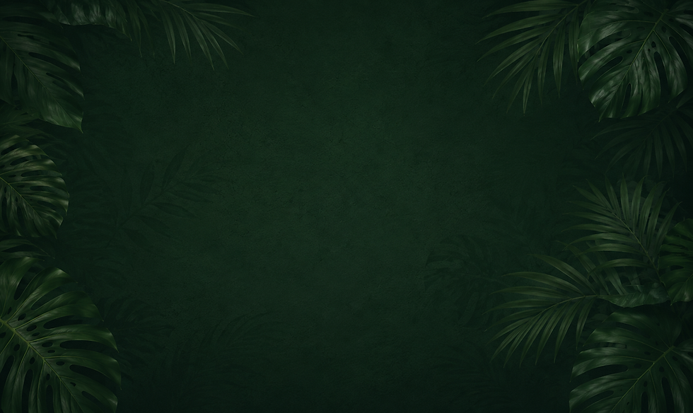 d8798acf-0b45-4387-95dd-f3d11747208f.png