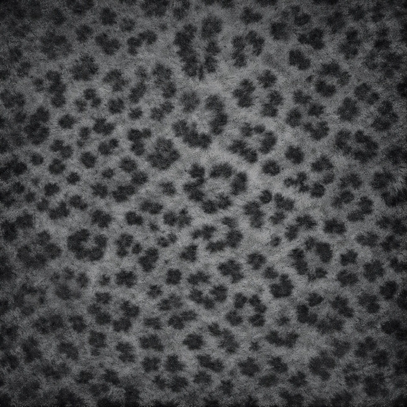 JAGUARSKIN.jpg