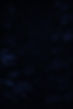 JungleMx_DarkRainforest_Background.jpg