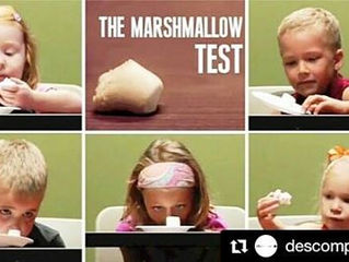 Teste do Marshmallow