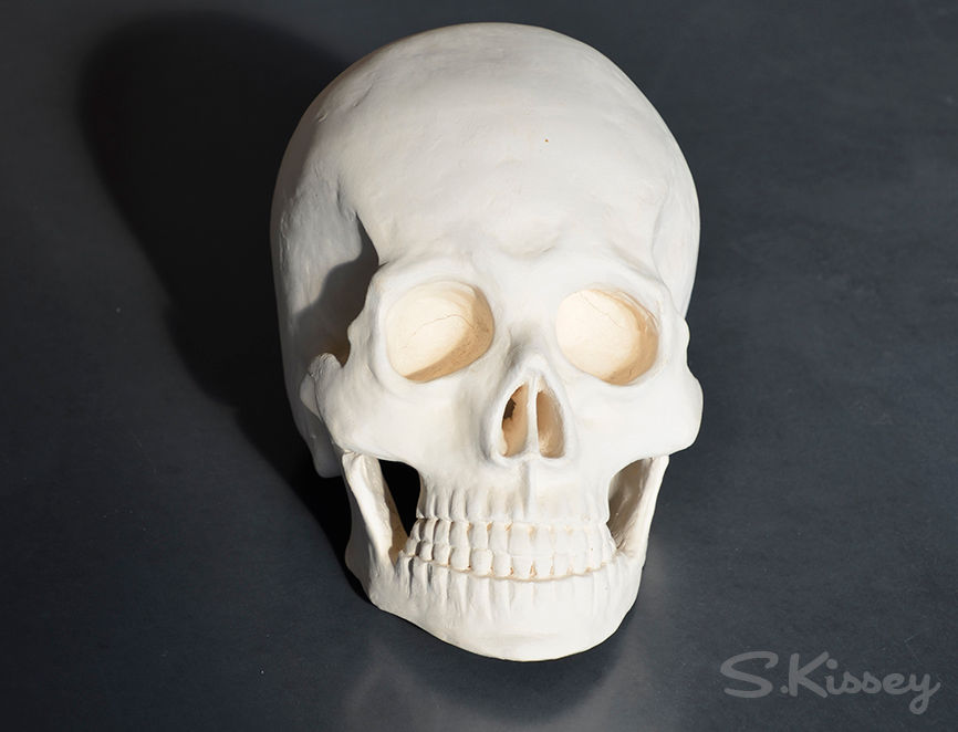 Tête de mort (coll.privée) face