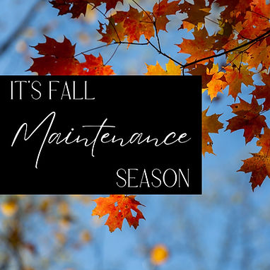 Fall.jpg