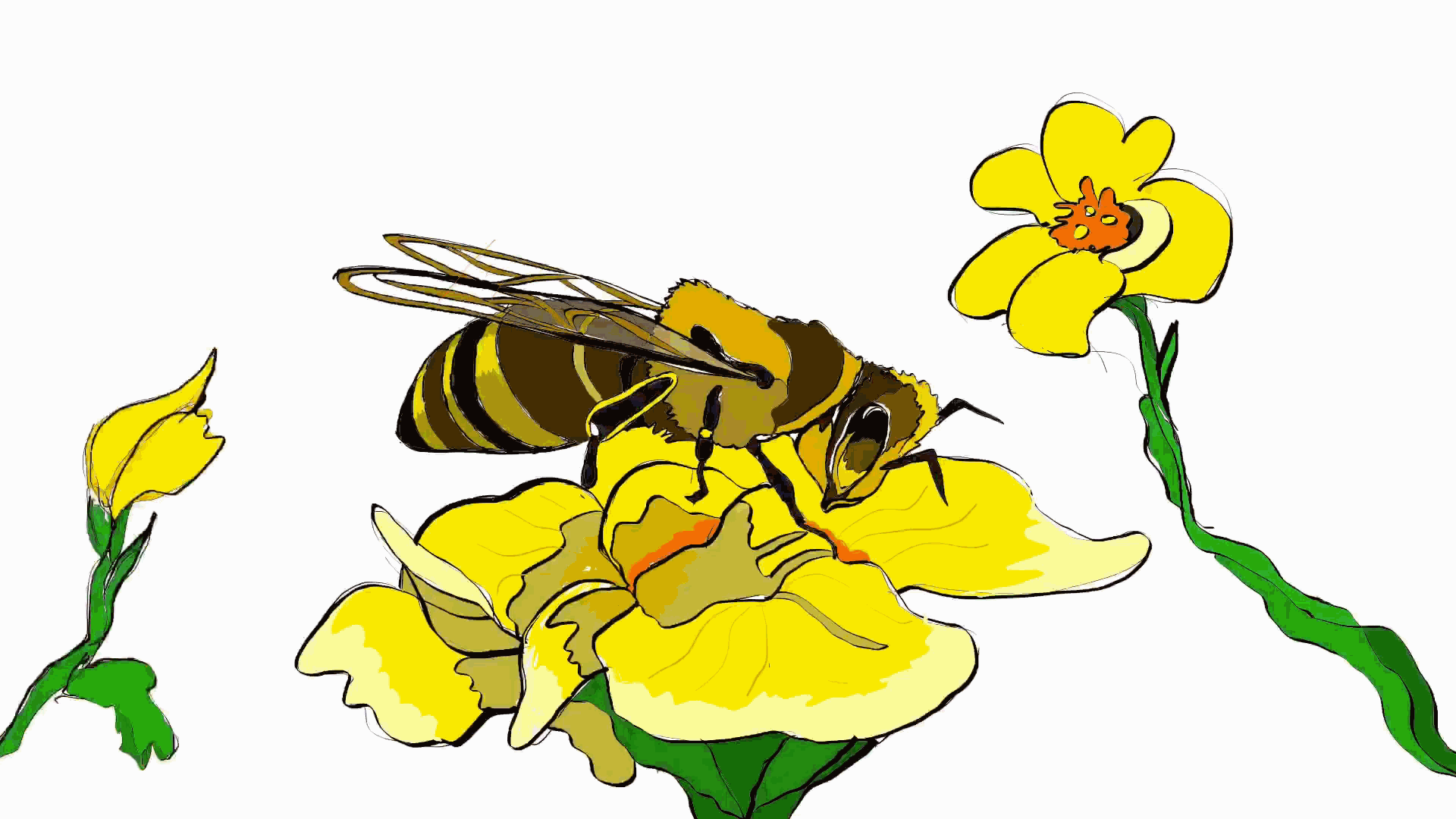 Bee