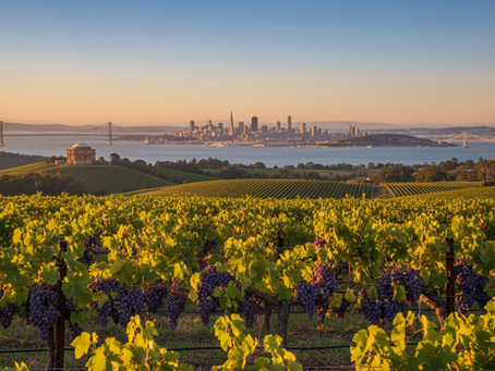 Discover Exclusive Luxury Listings at niche neighborhoods: Your Gateway to Off-Market Estates