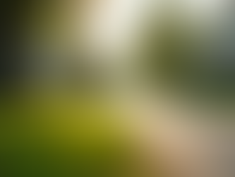 Top Family Neighborhoods Bay Area: Where to Settle Down