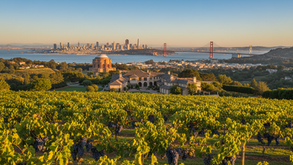 Morgan Hill Real Estate Insights: Hidden Opportunities Await