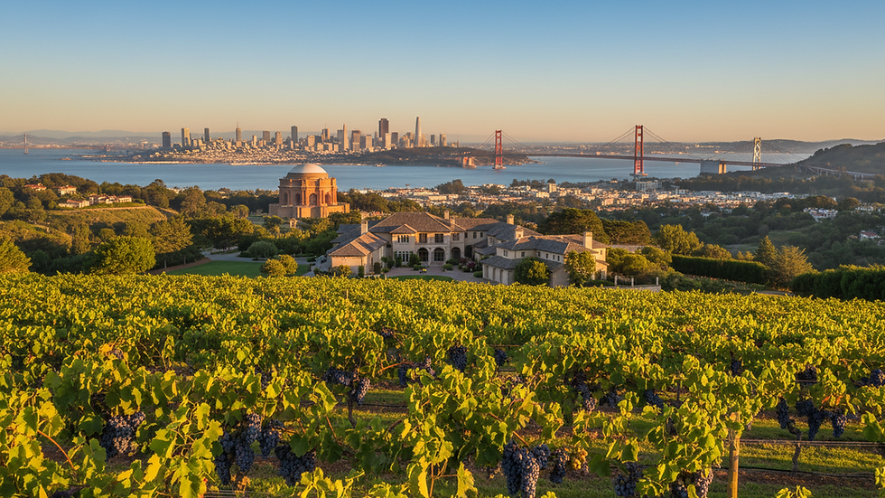 Morgan Hill Real Estate Insights: Hidden Opportunities Await