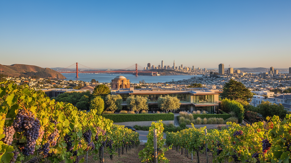 Eye-level view of a luxury residential property with privacy landscaping