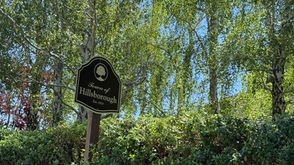 Touring Hillsborough