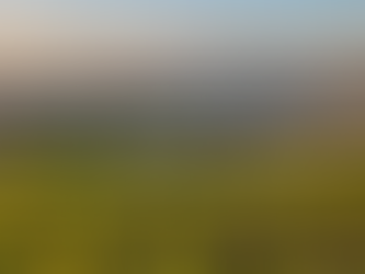 Analyzing Current Bay Area Housing Trends