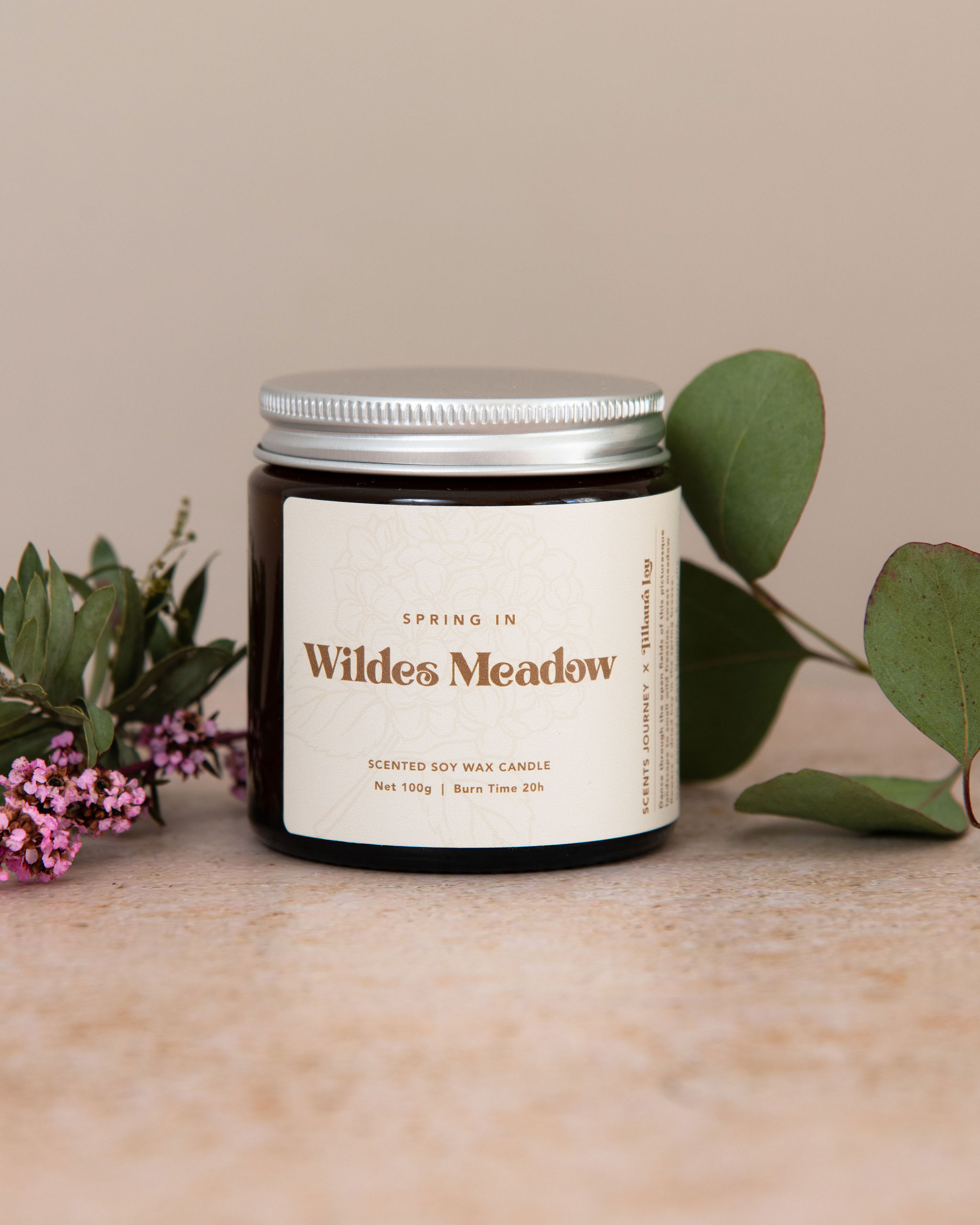 Spring in Wildes Meadow