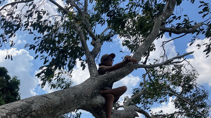 Through nature-based therapy, ecosystem is thinking, regenerative design, somatic movement, and artistic expression, we seek to explore behavioural change at the cell—community—landscape scale.