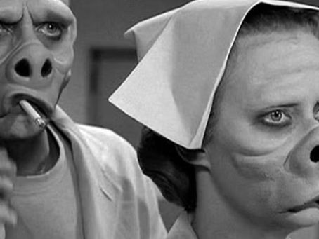 beauty is in the eye of the beholder