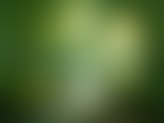 Blog 2/3: When SILENCE hurts, and when it can heal