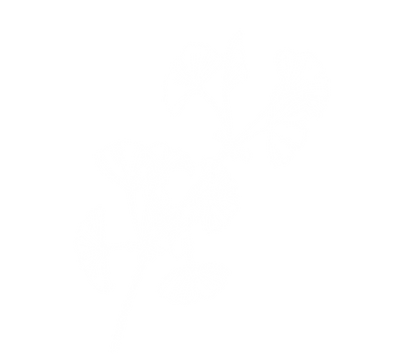 Ginko branche blanc.png