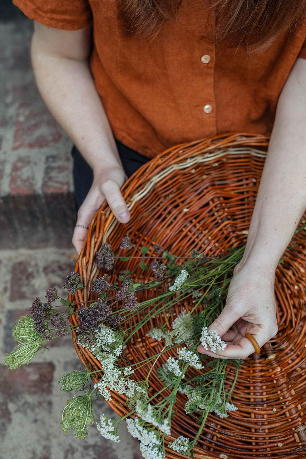 Pre-Sale: CIRCLE OF SEASONS