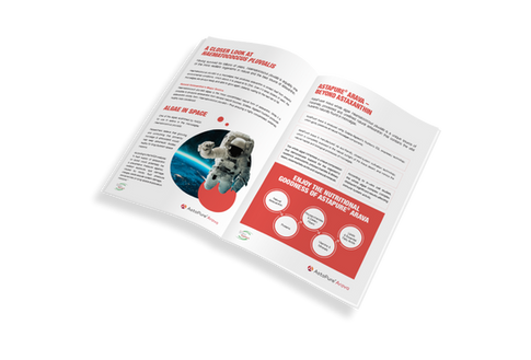 עיצוב ברושור