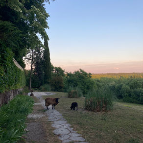 Music in the Loire Valley