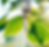 Screenshot 2025-08-24 at 10.34.52 AM.png