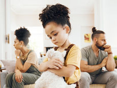 Joint v. Sole Custody in Michigan