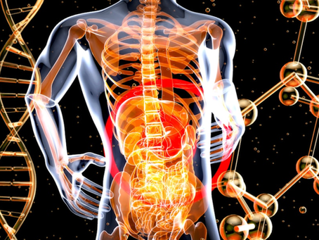 How Do Heavy Metals Get Into The Body?