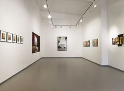 missing venus p8 gallery