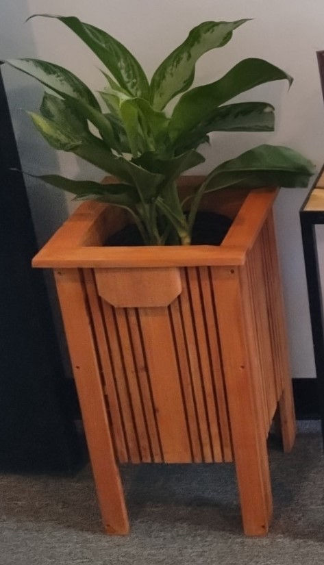 Medium Potted Plant Holder