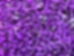IMG_9045.jpeg