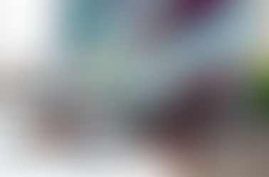 English Language Test Accepted by INZ 