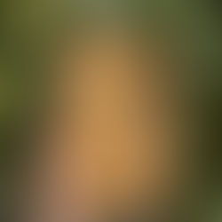 Berry Awesome Blueberry Crumble