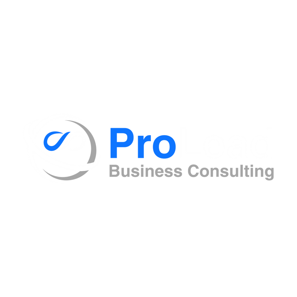 ProLead Business Consulting - Advisory Firm in India, Singapore, USA