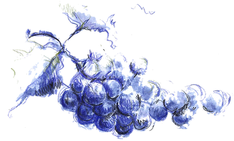 accessories1-blue1_edited.png