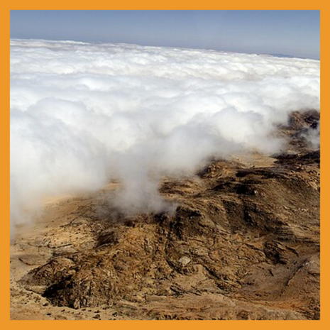 Harnessing Fog: Cloud Harvesting Technology and the Future of Agriculture in the Amara and Ullujaya Hills and Tillandsiales