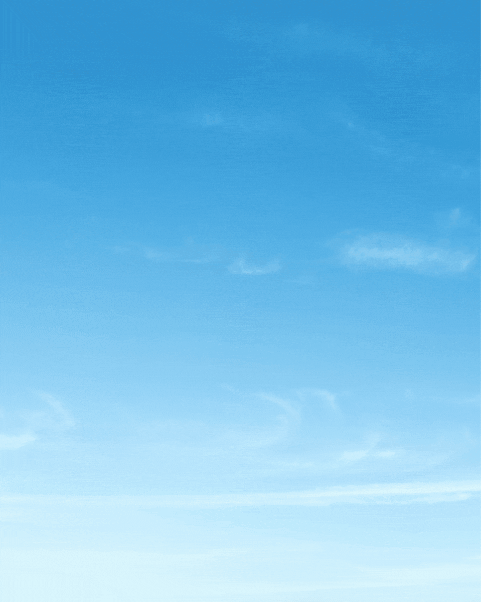 EnoBag Bordeaux 2 (4).gif