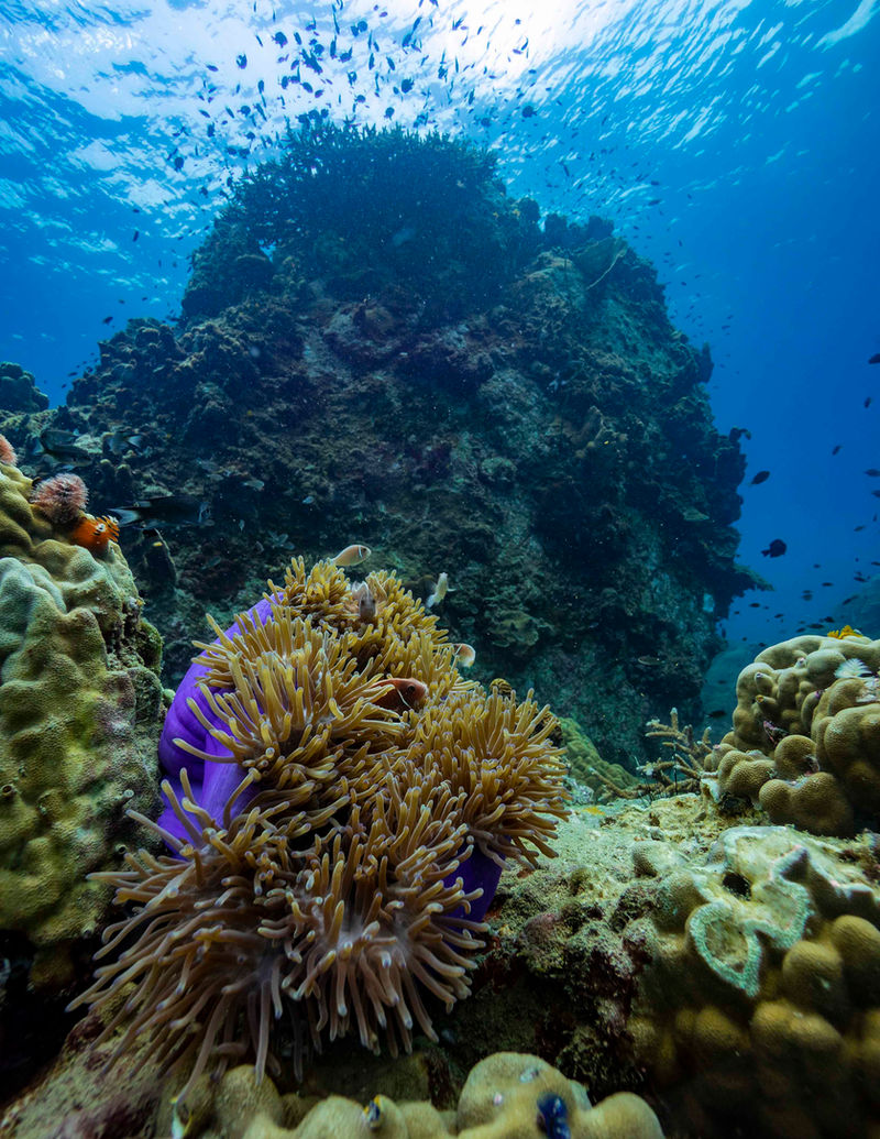Koh Tao photograph 3