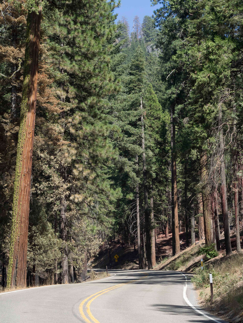 California photograph 20